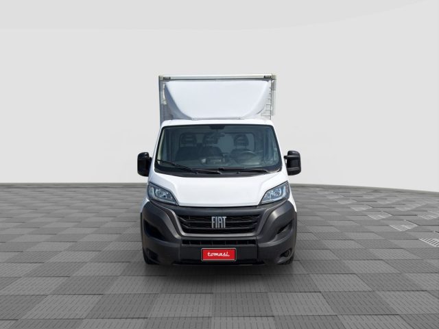 FIAT Ducato usata 6