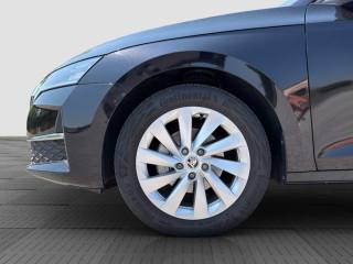 SKODA Octavia usata 15