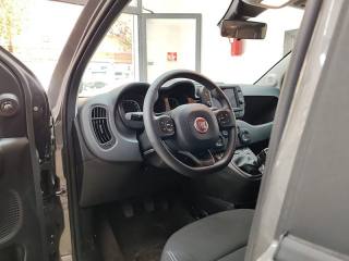 FIAT Panda Cross usata, con Immobilizzatore elettronico