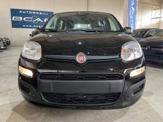 FIAT Panda usata, con Airbag