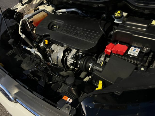 FORD EcoSport usata, con Controllo automatico clima