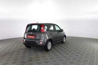 FIAT Panda usata 3