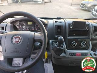 FIAT Ducato usata 9