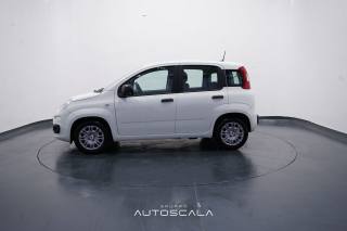 FIAT New Panda usata, con Airbag Passeggero