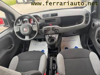 FIAT Panda usata, con Airbag testa