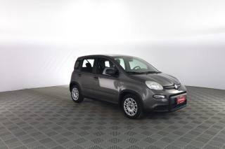 FIAT Panda usata 1