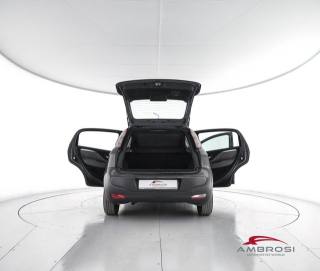 FIAT Punto usata 6