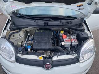 FIAT Panda usata 20