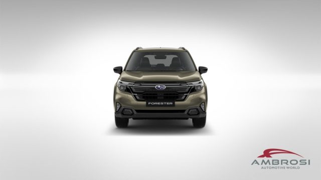 SUBARU Forester usata 7