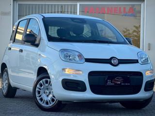 FIAT Panda 1.0 FIREFLY S&S HYBRID PANDINA - IVA ESPOSTA