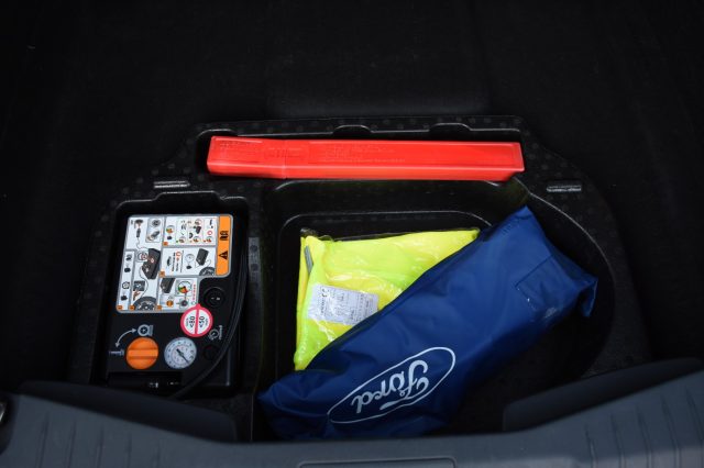 FORD Mustang Mach-E usata, con Frenata d