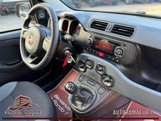 FIAT Panda usata, con Airbag testa