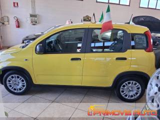 FIAT Panda usata, con Airbag Passeggero