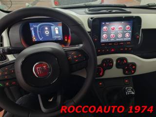FIAT Panda Cross usata, con Controllo trazione