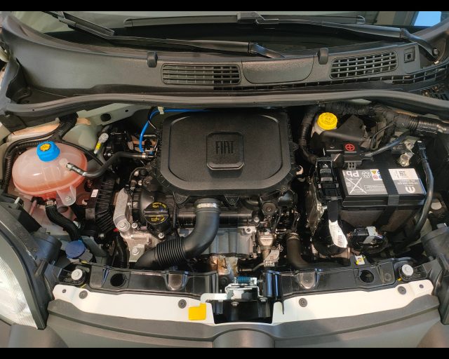 FIAT New Panda usata 19