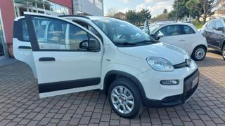 FIAT Panda usata, con Marmitta catalitica