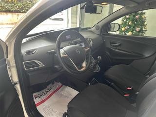 LANCIA Ypsilon usata, con Fendinebbia