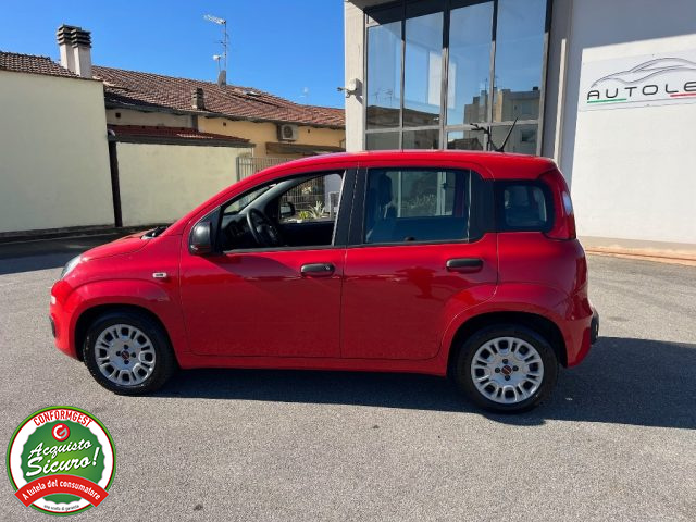 FIAT Panda usata, con Fendinebbia