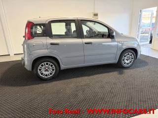 FIAT Panda usata 14