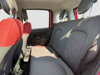 FIAT Panda usata 9