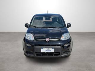 FIAT Panda usata, con Airbag