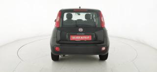 FIAT Panda usata 48