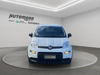 FIAT Panda usata, con Airbag