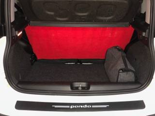 FIAT Panda usata, con Controllo trazione