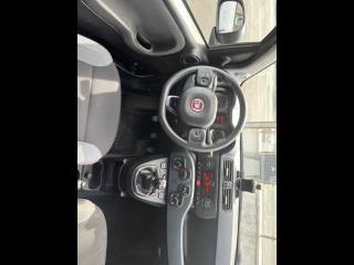 FIAT Panda usata 19