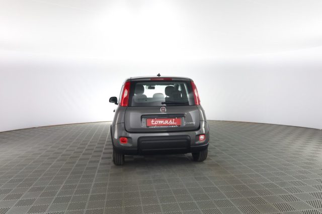 FIAT Panda usata 4
