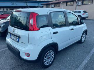 FIAT Panda usata, con Alzacristalli elettrici