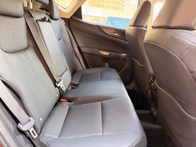 LEXUS NX 300h usata, con Cruise Control