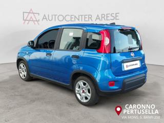 FIAT Panda usata, con Airbag Passeggero