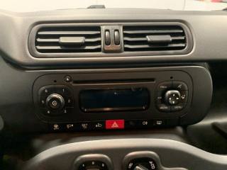 FIAT Panda usata, con Cronologia tagliandi