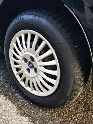 FIAT Punto usata, con Chiusura centralizzata