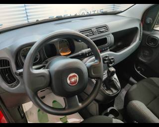 FIAT New Panda usata, con Controllo automatico clima