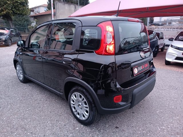 FIAT Panda usata, con Antifurto