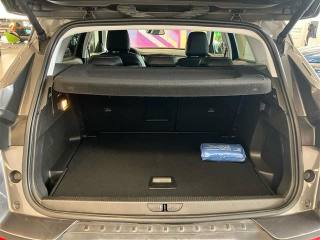 OPEL Grandland X usata, con Sensore di pioggia