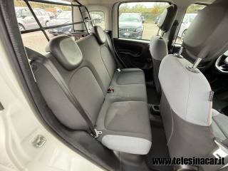 FIAT Panda usata 19