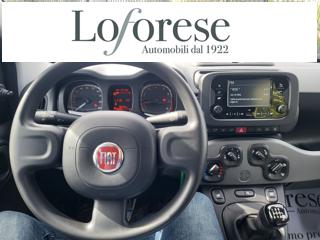 FIAT Panda usata, con Airbag testa