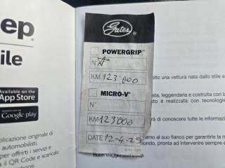 JEEP Renegade usata 134