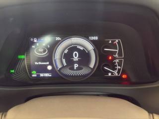 LEXUS UX 250h usata, con Fendinebbia