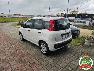FIAT Panda usata, con Airbag Passeggero