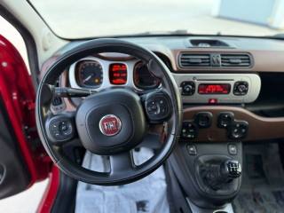 FIAT Panda Cross usata, con Servosterzo
