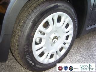 FIAT Panda usata, con Airbag Passeggero