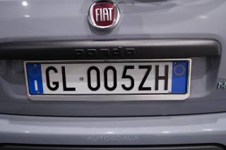 FIAT New Panda usata 28