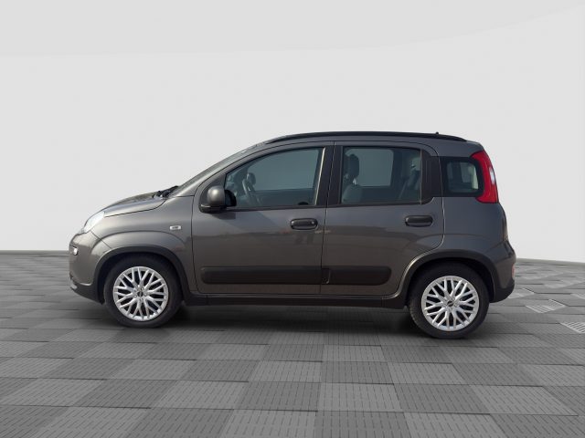FIAT Panda usata 1