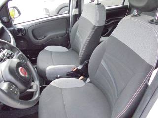 FIAT Panda usata 23