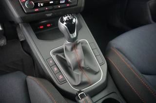 SEAT Ibiza usata, con Fendinebbia