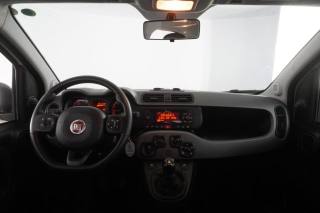 FIAT Panda usata 11